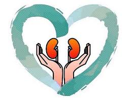 Як впливає питтєвий режим, куріння і високий тиск на здоров’я нирок