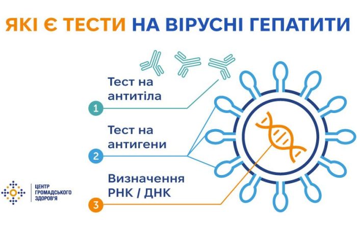 Діагностика вірусних гепатитів В і С: види досліджень і про що вони можуть «розповісти»